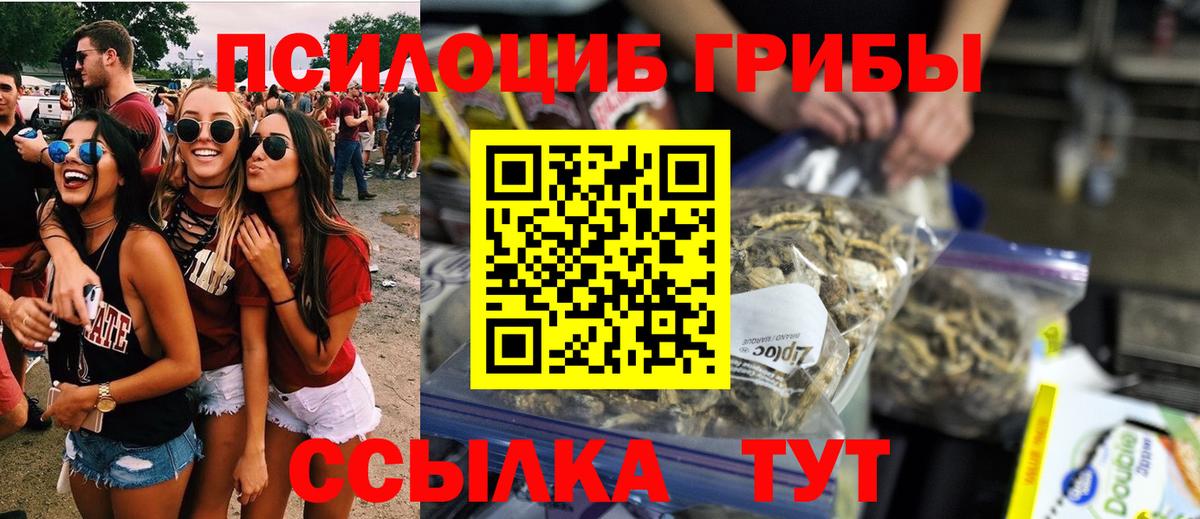 Южно-Сахалинск  Псилоцибиновые грибы Psilocybe  Псилоцибиновые грибы Cubensis  Вход с VPN 