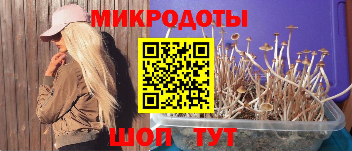 Галлюциногенные грибы прущие грибы Южно-Сахалинск